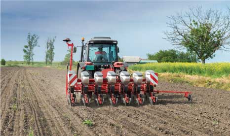 soil small